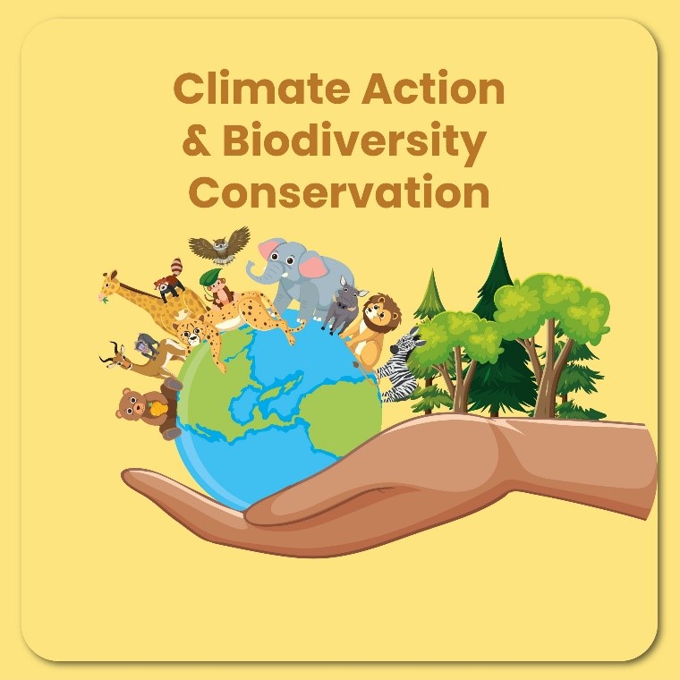 Circular Economy & Waste